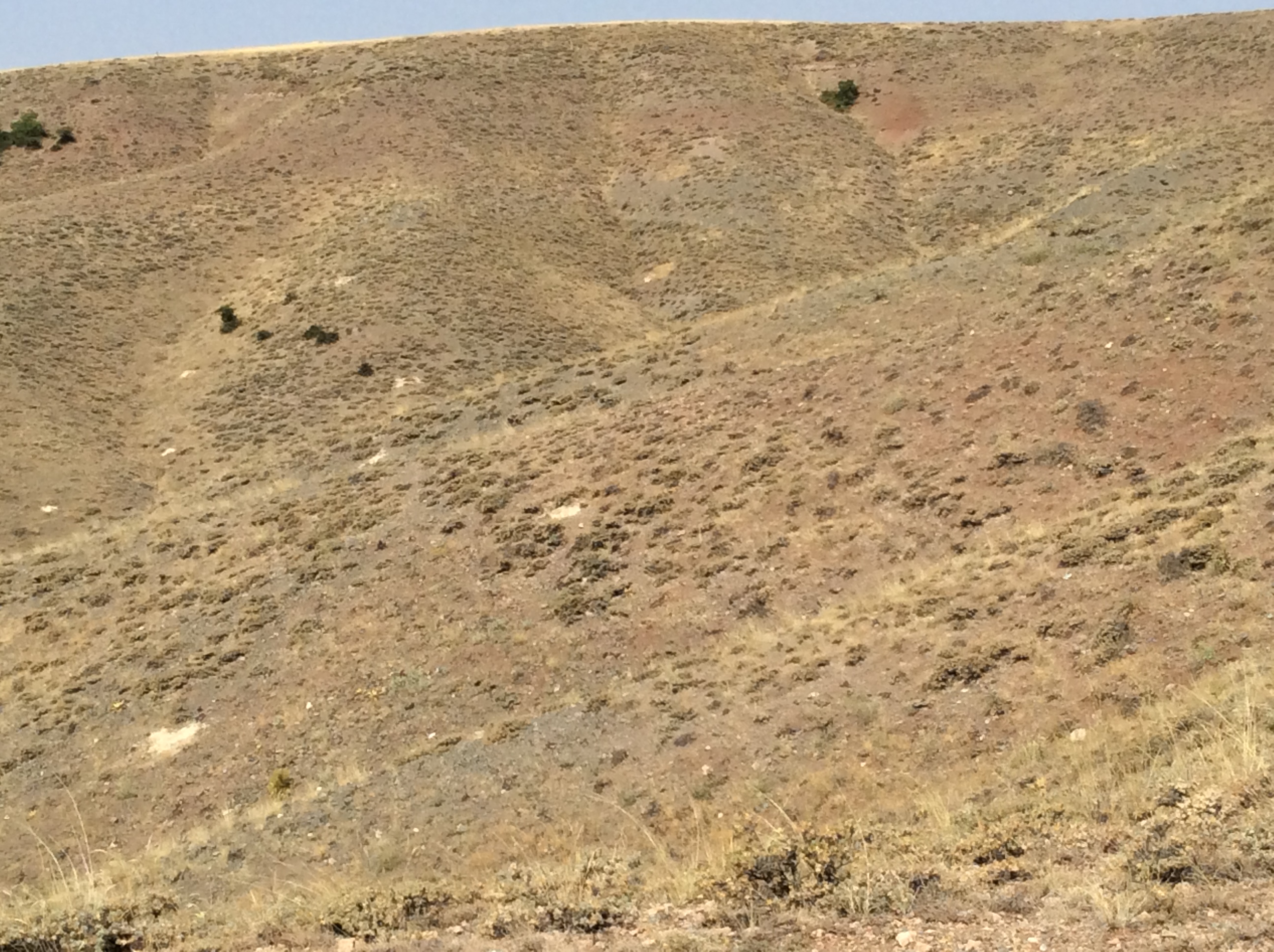 Bûyera Kurikên Satiyê û Mala Mihtopele-II / Ahmed Gezer