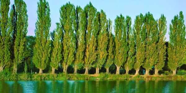 SİYASET BOŞLUK KABUL ETMEZ!