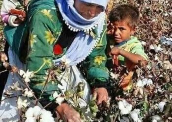 MEVSIMLIK KÖLELİK KÜRD HALKININ KADERİ DEĞİLDİR/Perihan Yoğurtçu