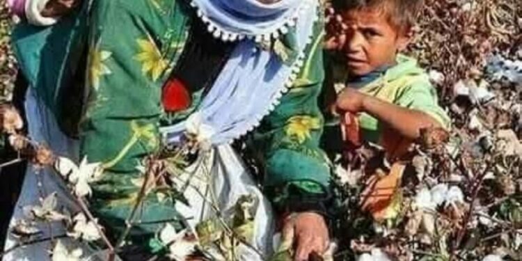 MEVSIMLIK KÖLELİK KÜRD HALKININ KADERİ DEĞİLDİR/Perihan Yoğurtçu