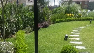 Müslümanların Zulme Karşı Duruşu; Konformist Bir İman Mı? / Perihan Yoğurtçu